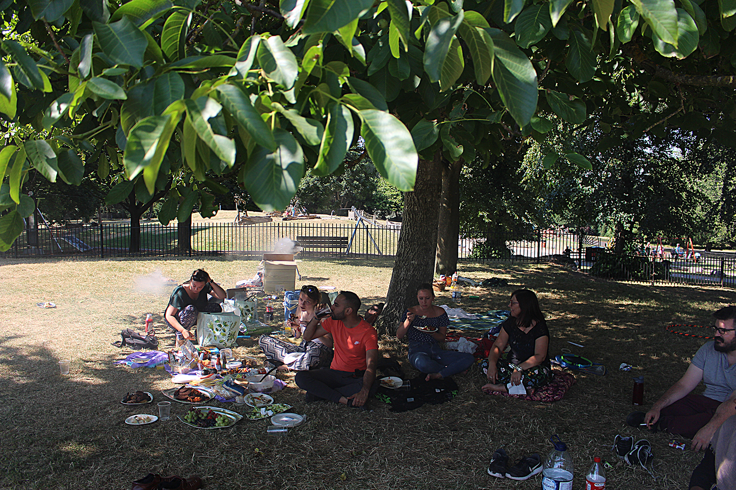 BBQ at the park