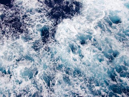 close up shot of foam on a body of water 